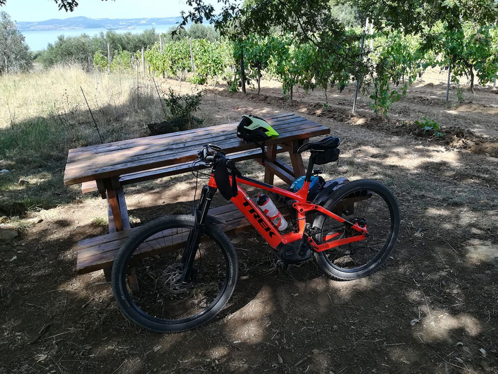 ebike5