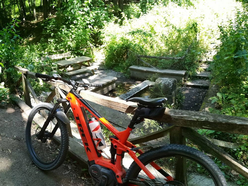 ebike6